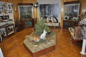 Музей леса «Лесные истоки»